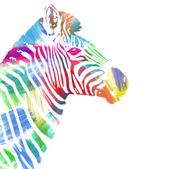 Zebra profile painted in watercolor, digital art. Equus quagga