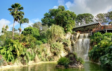 Fototapeta na wymiar jardin exotique et cascade de la Guadeloupe