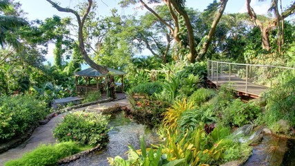 jardin exotique et cascade de la Guadeloupe