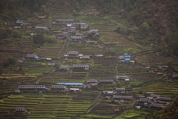 The mountain village in Nepal located on cascades and surrounded by greenery. - 194184786