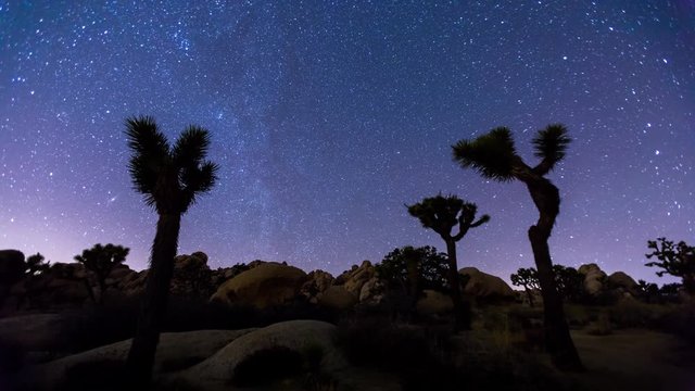 Joshua Trees night 4k timelapse, Joshua Tree National Park, California