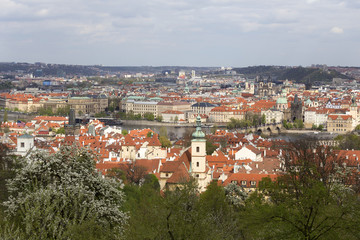 Naklejka na ściany i meble View on the spring Prague City with the green Nature and flowering Trees, Czech Republic