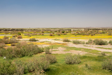 Khur, Birjand, Khorasan, Iran