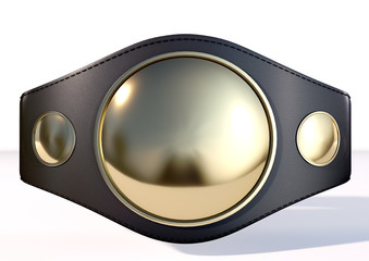 3D Championship  Belt