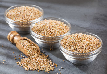 Yellow grain mustard - Sinapis alba