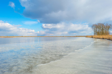 The edge of a frozen lake in sunlight in winter