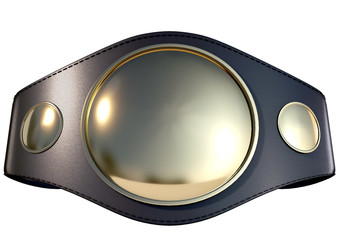 3D Championship  Belt