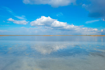 The edge of a frozen lake in sunlight in winter