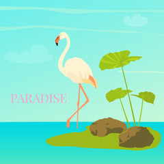 White flamingo standing in water on one leg. Exotic bird made in flat style. Silhouette on blue background.