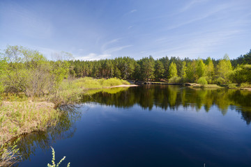Obraz na płótnie Canvas Forest river in the national park of Russia is springtime.