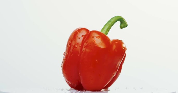 Macro shooting of the red pepper with drops of water rolling on the white wall background. Close up