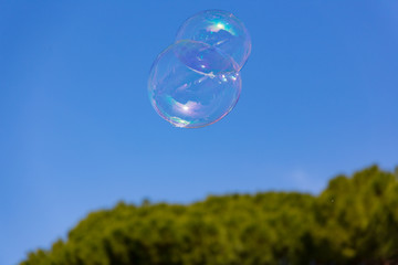 soap bubbles sticking together flying in blue sky over green trees in the background