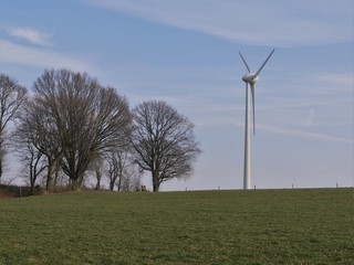 Fototapeta na wymiar Landscape with meadow, wind turbine for electric power generation, trees in autumn