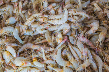 Shrimps in fish market. Stone Town, Zanzibar, Tanzania.