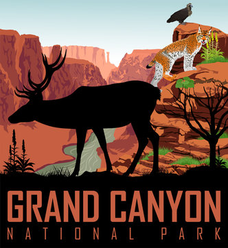 Vector Colorado River In Grand Canyon National Park With Deer, Eagle And Lynx