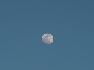 moon in waxing gibbous phase at the end of February at dusk