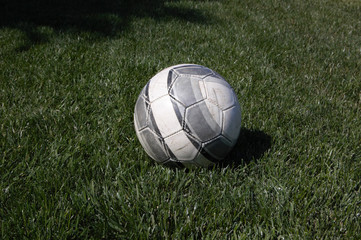 Plakat Soccer ball lying in the grass