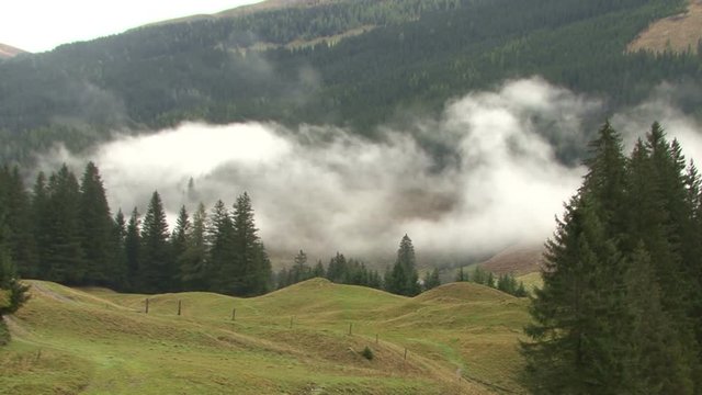 fog forest time lapse in Rauris 05