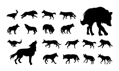 set of Various Wolf and Fox Silhouette vector