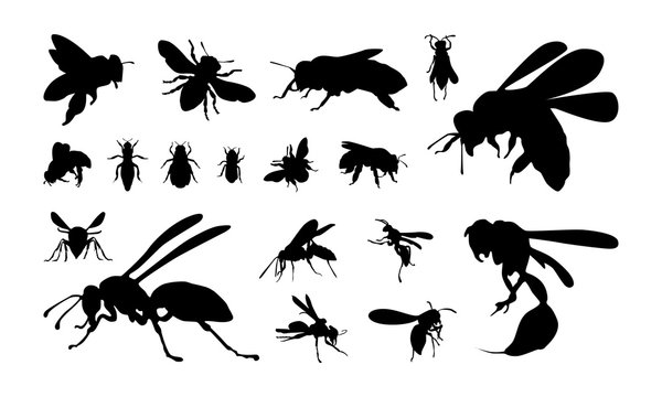 set of Various Bee and Wasp Silhouette vector illustration
