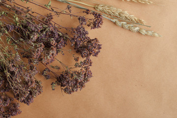 Bunch of healing herbs. Herbal medicine. Top view, flat lay.