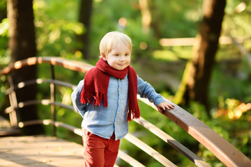 Little boy enjoy stroll in the sunny forest or in summer park