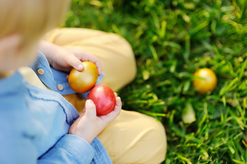 Close-up photo of little boy hunting for easter egg in spring park on Easter day