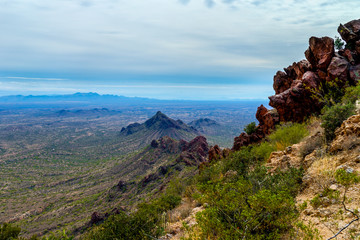 This image was captured while hiking up the Vulture Peak Trail in the BLM land near Wickenburg, Arizona.