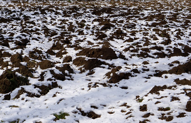 snowed agriculture arable land
