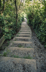 Beach Trail near Victoria, Canada