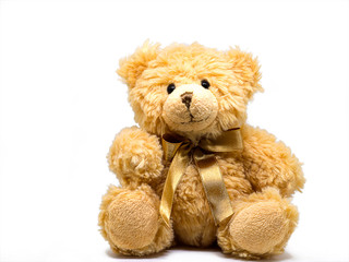 toy teddy bear.