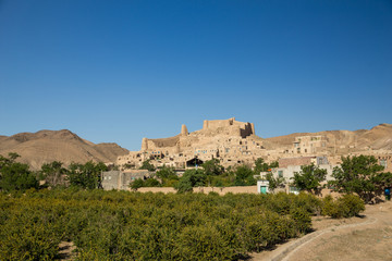 Fototapeta na wymiar A Fort in Furg, Khorasan, Iran