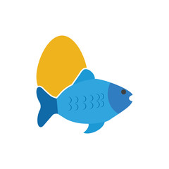 Egg Fish Logo Icon Design