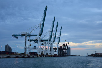 Fototapeta na wymiar crane in Miami port