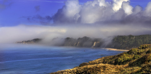 morning ocean fog california