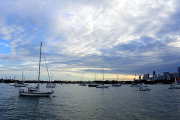 Fototapeta na wymiar Miami boats