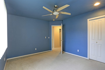 Empty room with blue ceiling and blue walls paint color.