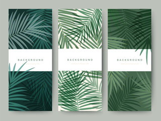 Fototapeta premium Znakowanie opakowania palm kokosowego bambusa drzewo liść natura tło, kupon banner logo, wiosna lato tropikalny, ilustracji wektorowych