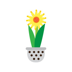 Cute sunflower on a pot