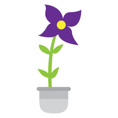 Cute flower on a pot