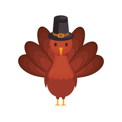 turkey  vector illustration
