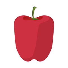 red pepper  vector illustration