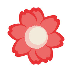 flower vector illustration