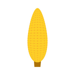 corn vector illustration