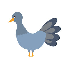 turkey  vector illustration