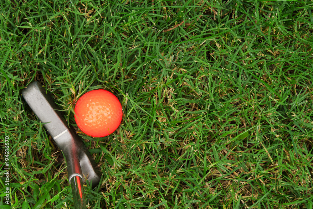 Wall mural Orange golf ball and putter on green grass