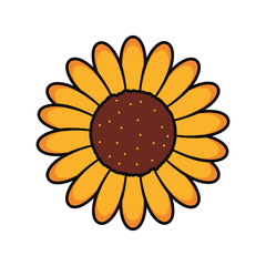 flower  vector illustration