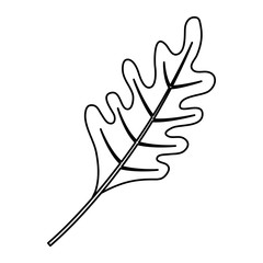 Obraz premium leaf vector illustration