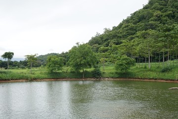 Fototapeta premium water in pond
