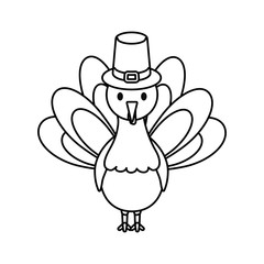 turkey  vector illustration